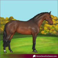 Horse Color:Brown 