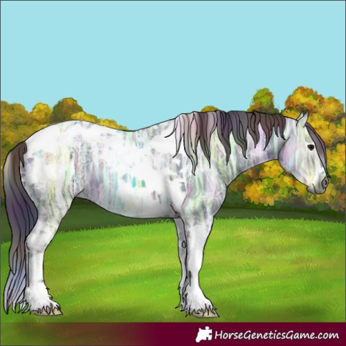 Horse Color:Gray Nacre Black Ice Tobiano 