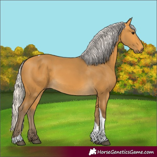 Horse Color:Silver Buckskin Tobiano