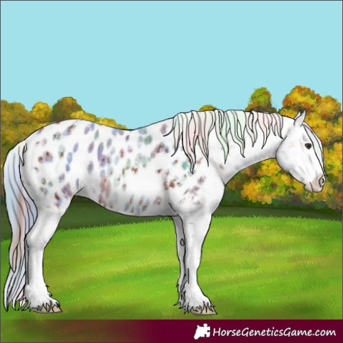 Horse Color:White Spotted Chestnut Appaloosa  and Nacre Watercolor Bay Dun Tobiano Appaloosa 