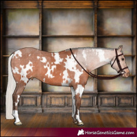 Horse Color:White Spotted Silver Bay Varnish 