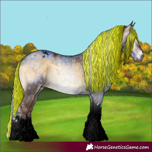 Horse Color:Gray Void Painted White Spotted Liver Red Onyx Ice Tobiano 