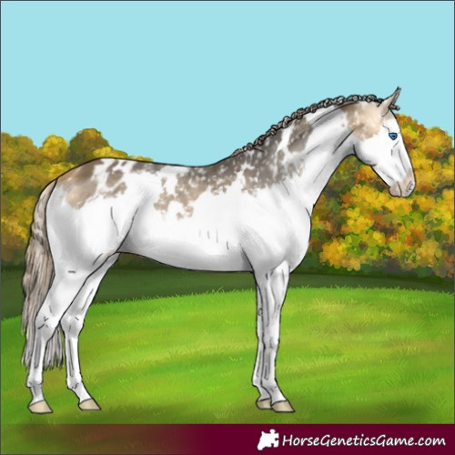 Horse Color:White Spotted Buckskin Splash Snowflake Varnish 