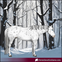 Horse Color:White Spotted Blue Roan Splash Frame Appaloosa 