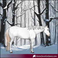 Horse Color:White Spotted Blue Roan Splash Frame Varnish 