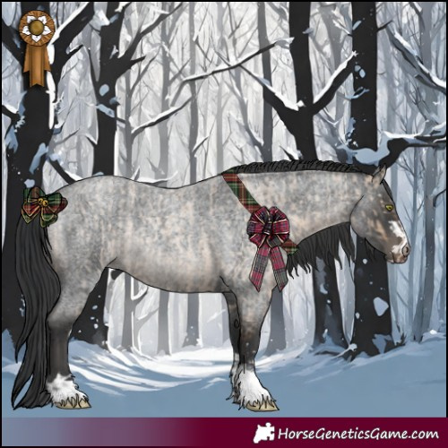 Horse Color:Brown Roan Dun  and Blue Roan Rabicano 