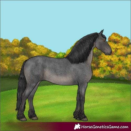 Horse Color:Blue Roan 
