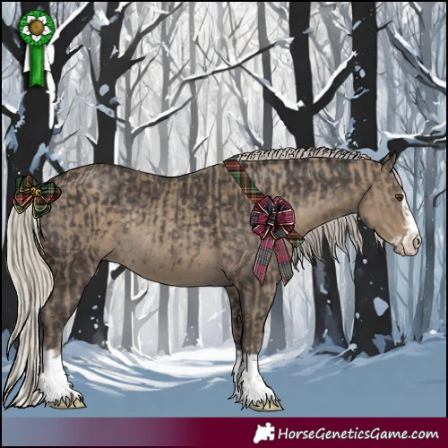 Horse Color:Silver Smoky Grullo Rabicano  and Silver Smoky Black Splash Rabicano 