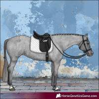 Horse Color:Blue Roan Varnish 