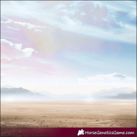 Horse Color:Silver Black