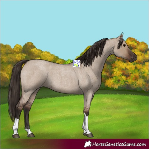 Horse Color:Liver Red Dun Roan Tobiano 