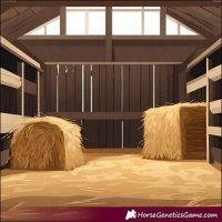 Horse Color:Bay Roan 
