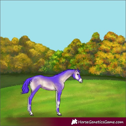 Horse Color:Watercolor Brown Onyx 