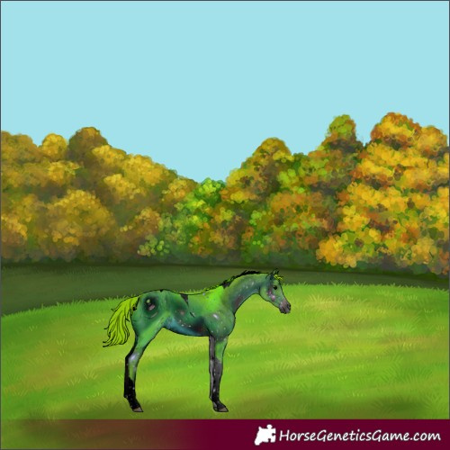 Horse Color:ERROR: UNKNOWN ANOMALY