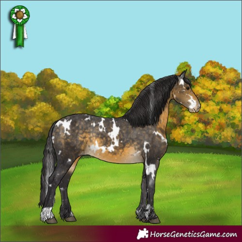 Horse Color:White Spotted Buckskin Appaloosa Rabicano 