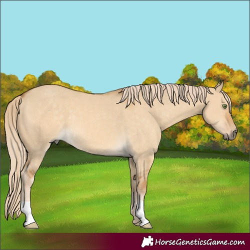 Horse Color:Palomino Dun Mushroom 