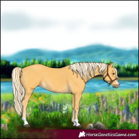 Horse Color:Palomino 