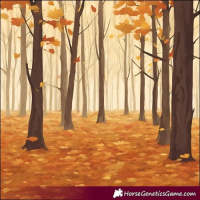 Horse Color:Bay Roan Tobiano