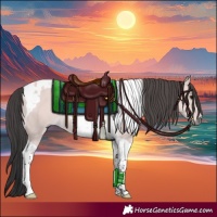 Horse Color:Platinum Bay Dun Tobiano