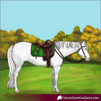 Horse Color:Platinum Perlino Dun 