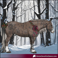 Horse Color:Black and Silver Black