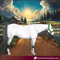 Horse Color:Platinum Buckskin Dun 