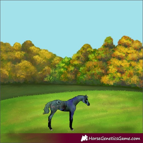 Horse Color:ERROR: UNKNOWN ANOMALY