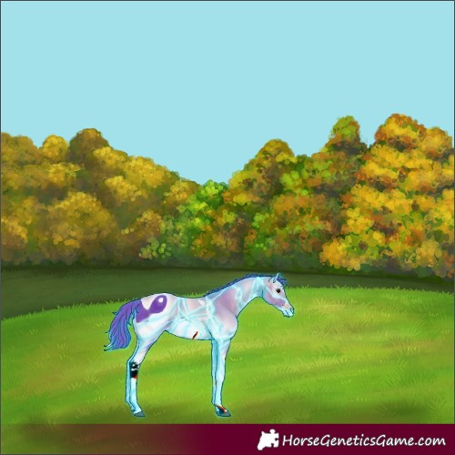 Horse Color:ERROR: UNKNOWN ANOMALY