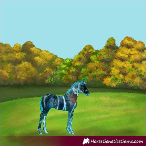 Horse Color:ERROR: UNKNOWN ANOMALY