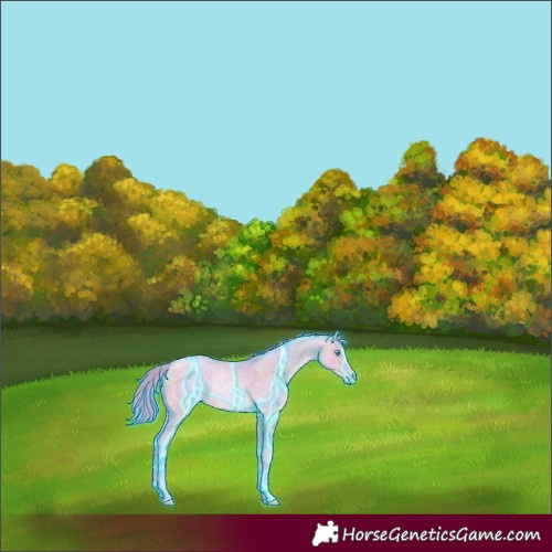 Horse Color:Thunderstruck Watercolor Buckskin Pearl 