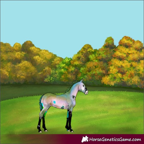Horse Color:Watercolor Brown Onyx Sabino 