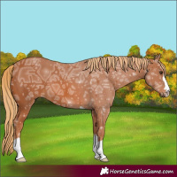 Horse Color:Chestnut Ice 