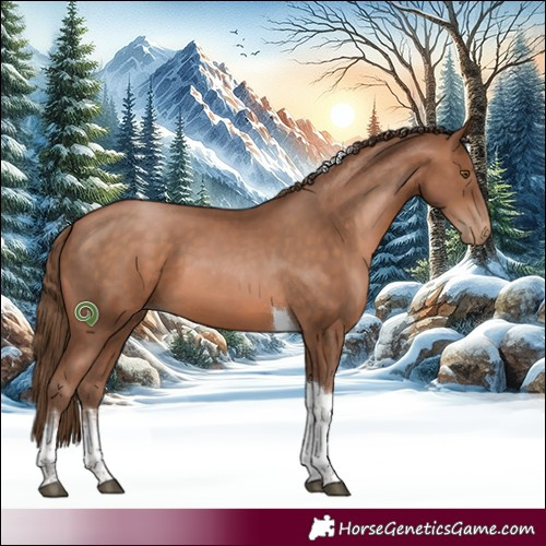 Horse Color:White Spotted Brown Pearl Tobiano 