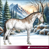 Horse Color:White Spotted Liver Red Dun 