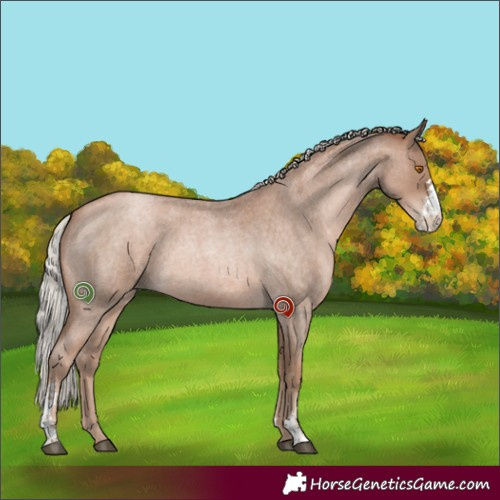 Horse Color:Silver Blue Roan Pearl Sabino 