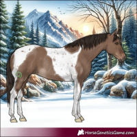 Horse Color:Liver Red Dun Tobiano Rabicano 