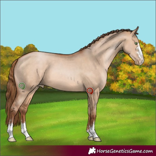 Horse Color:Brown Pearl Dun 