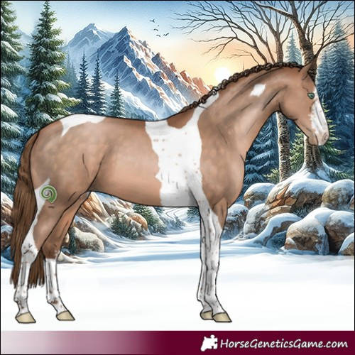 Horse Color:White Spotted Brown Pearl Tobiano 