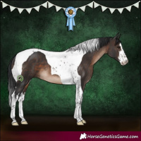 Horse Color:White Spotted Brown Tobiano 