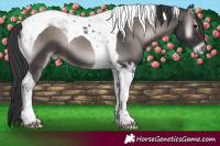 Horse Color:Platinum Blue Onyx Tobiano