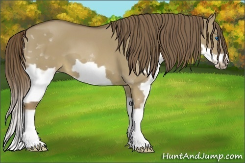 Horse Color:Liver Red Dun Splash Frame 