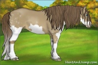 Horse Color:Liver Red Dun Splash Frame 