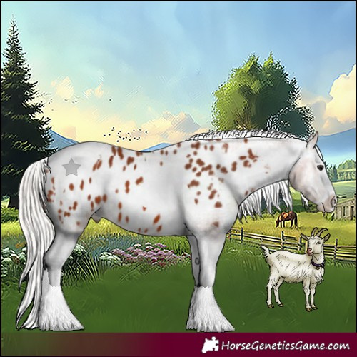 Horse Color:Silver Bay Splash Tobiano Blanket