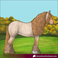 Horse Color:Red Roan 