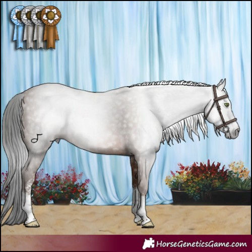 Horse Color:Gray Sable Champagne Sabino Rabicano 