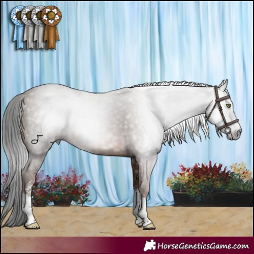 Horse Color:Gray Sable Champagne Sabino Rabicano 