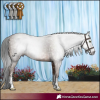 Horse Color:Gray Sable Champagne Sabino Rabicano 