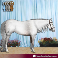 Horse Color:Gray Sable Champagne Sabino Rabicano 