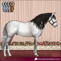 Horse Color:Gray Sable Champagne Sabino Rabicano 