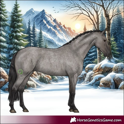 Horse Color:Smoky Grullo Roan Rabicano 